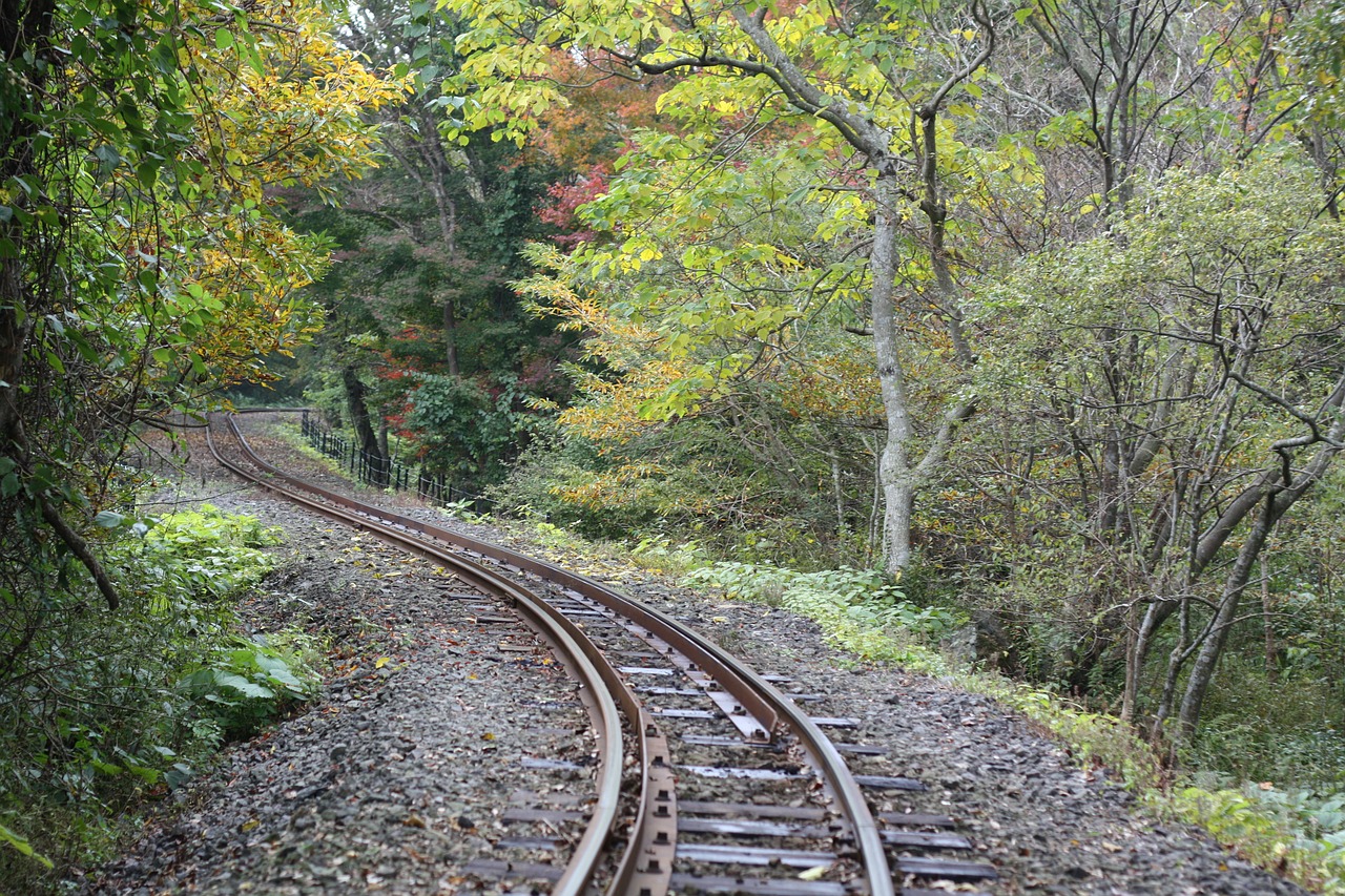 railroad tracks nature jeju island free photo