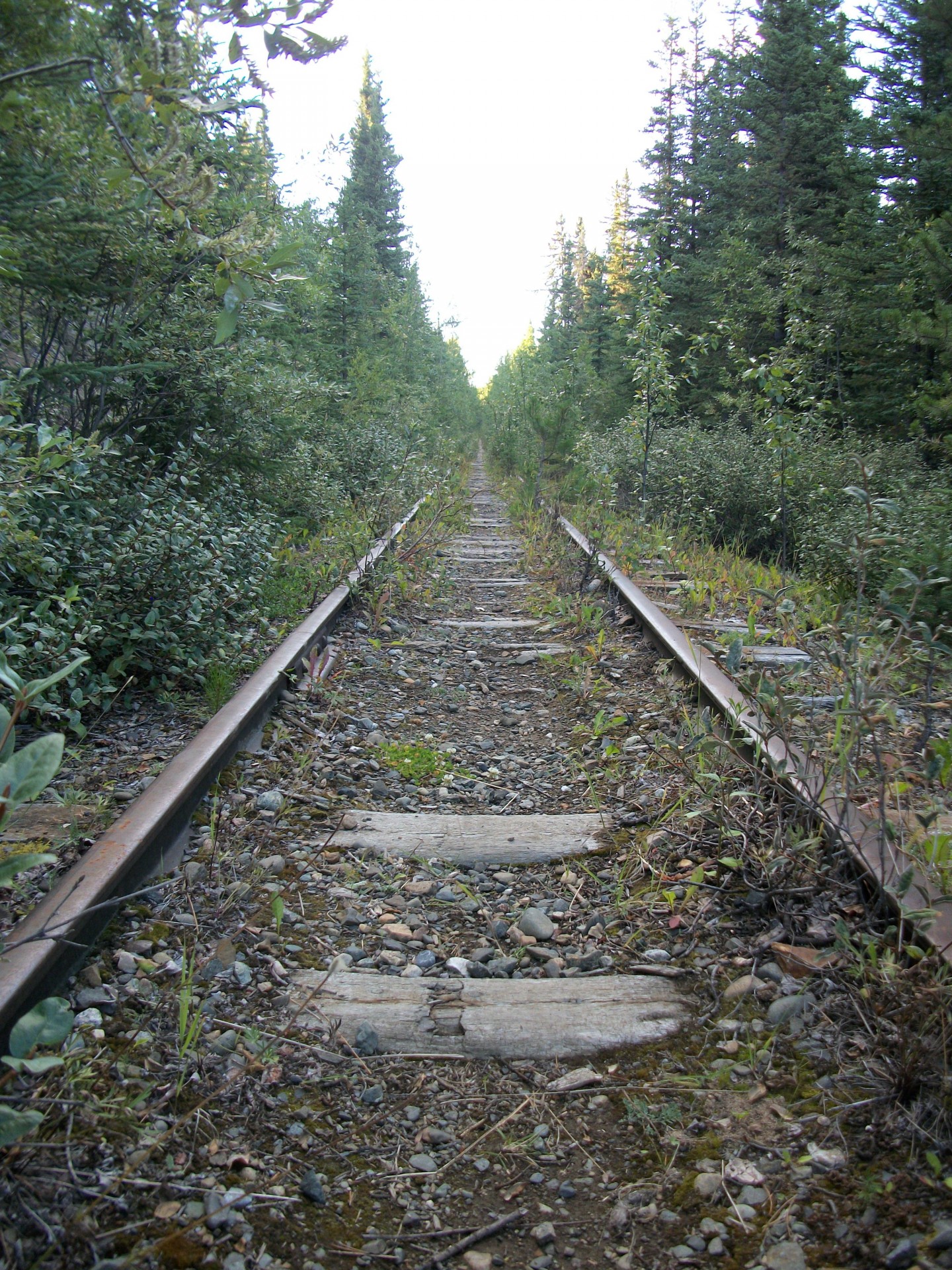 rails tracks yukon free photo