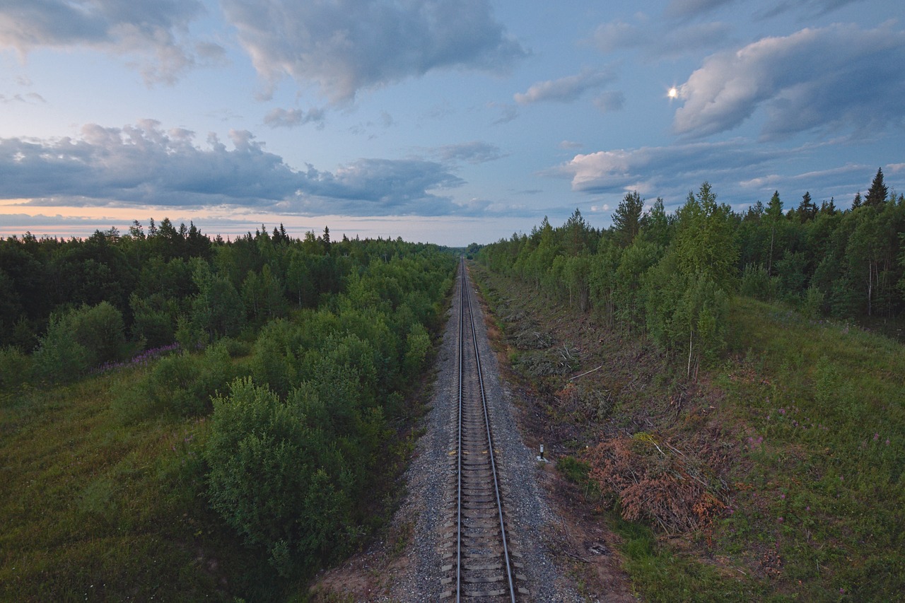 railway tracks trees free photo