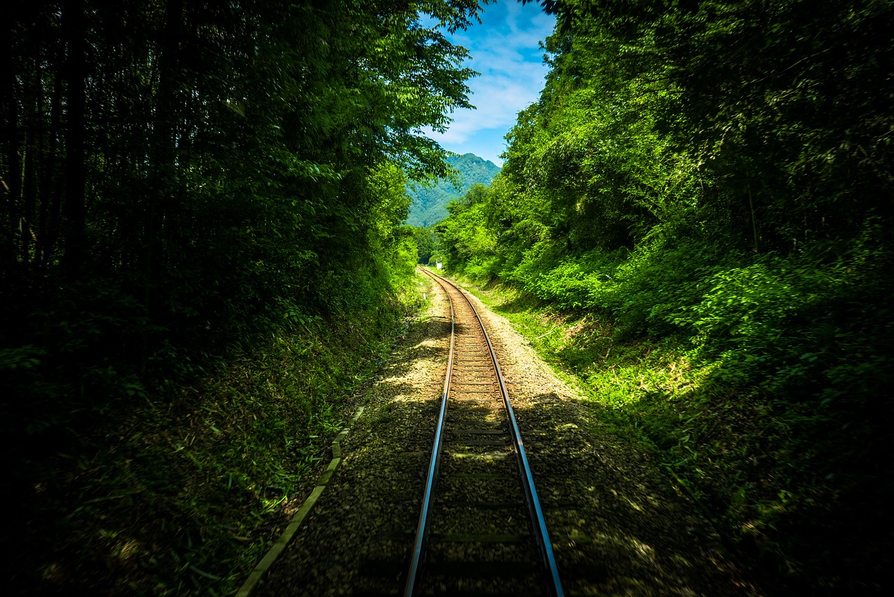 railway track green free photo