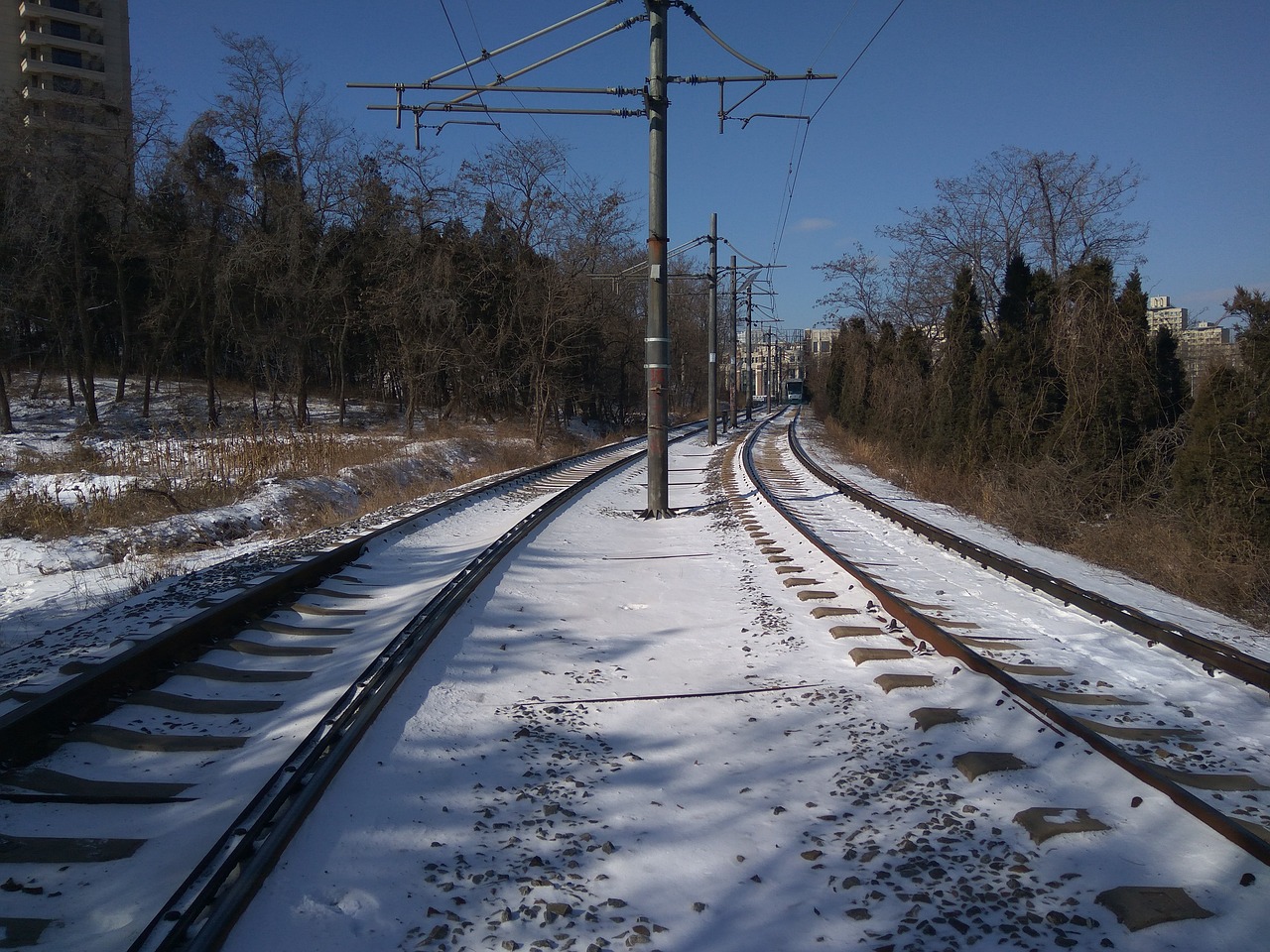 railway  snow  telephone poles free photo