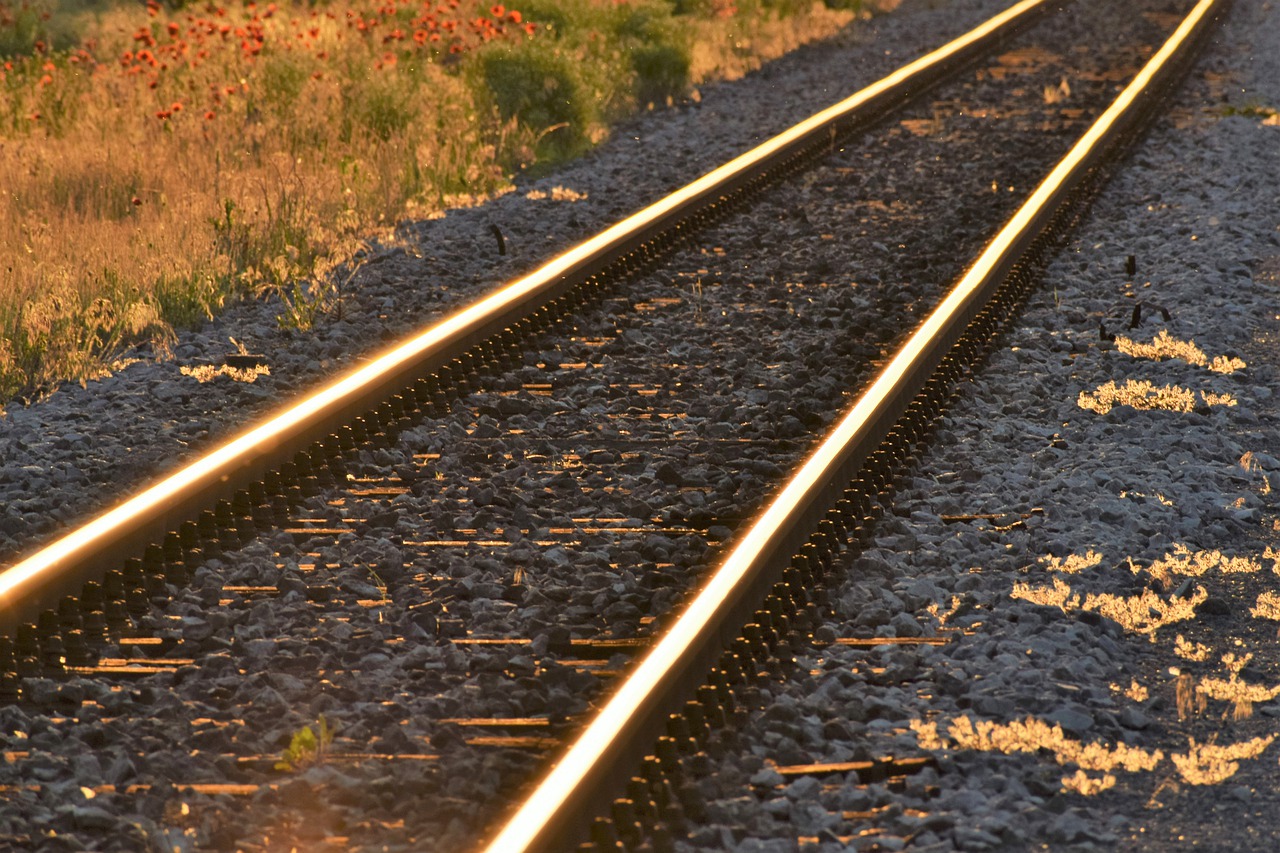 railway  red poppys  sunset free photo