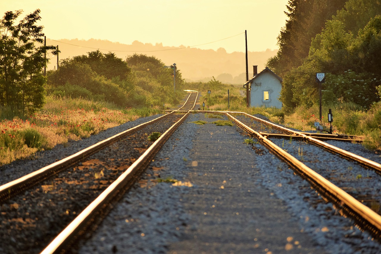 railway  red poppys  sunset free photo