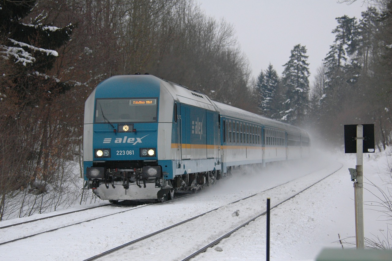 railway train winter free photo