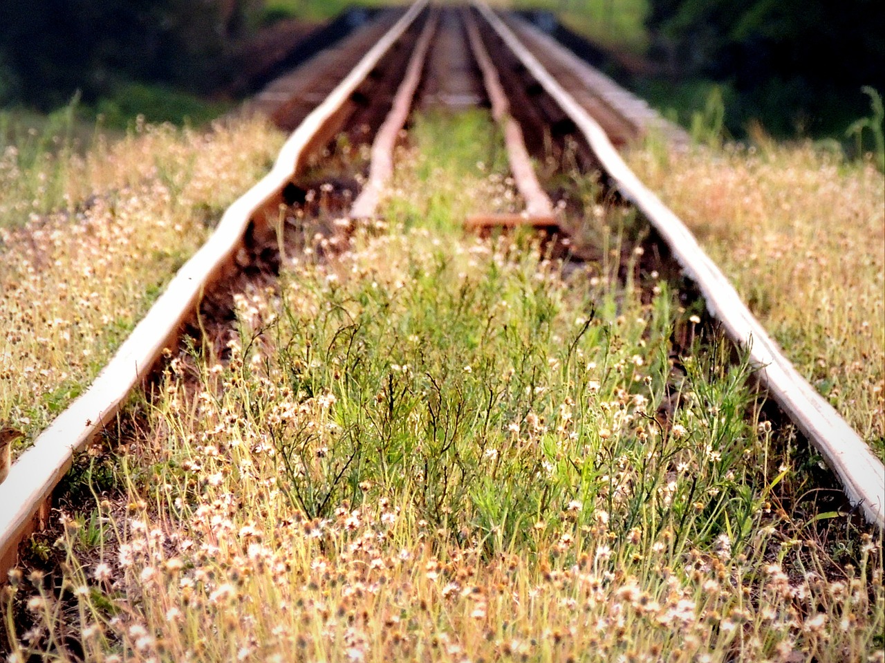 railway lines railroad free photo