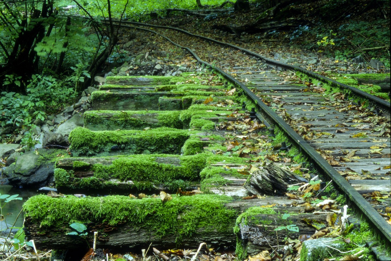 railway abandoned moss free photo