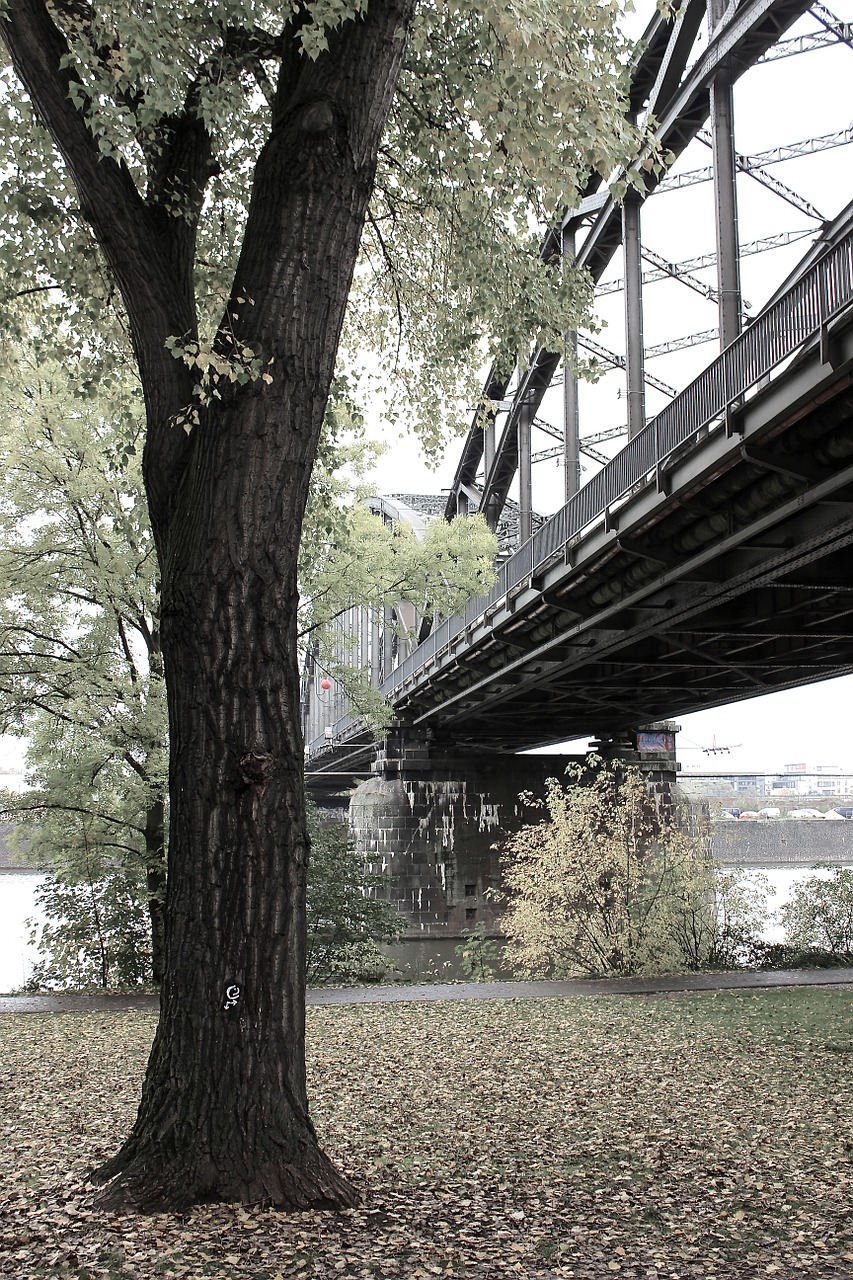 railway bridge bridge steel free photo