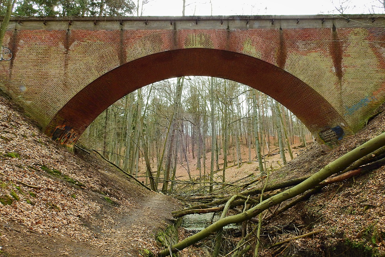 railway bridge  forest  torrent free photo