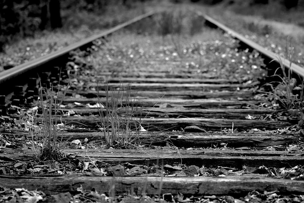 railway line  railway  race track free photo