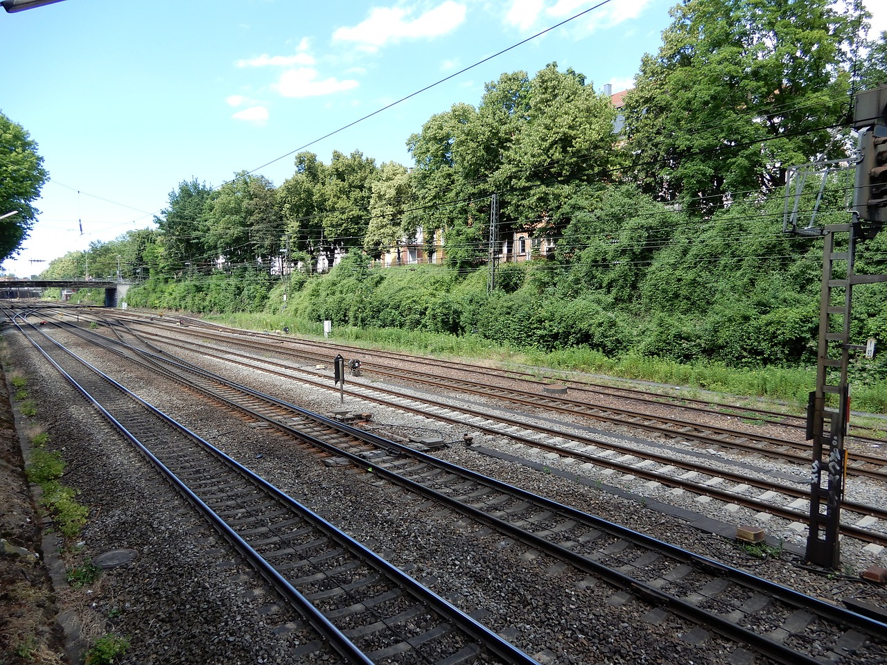 railway system trees seemed free photo