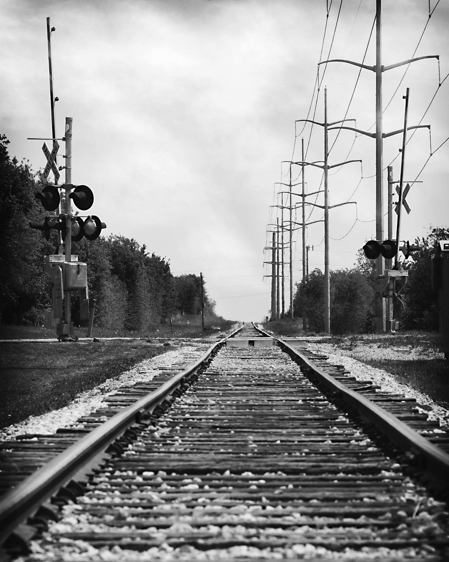 railroad tracks railroad tracks free photo