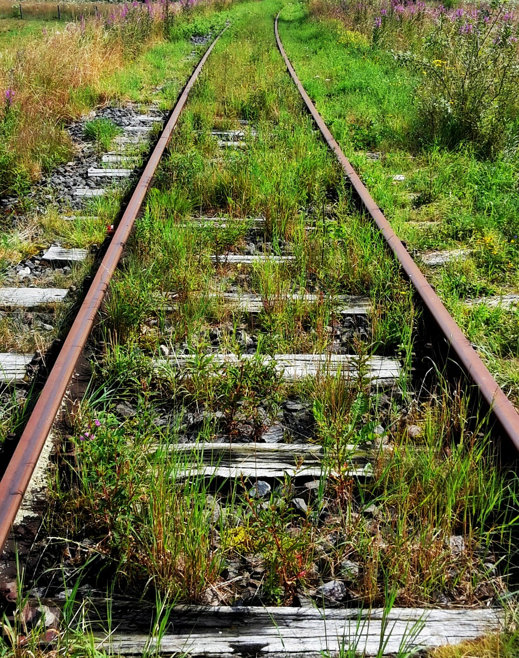 railway tracks track seemed free photo