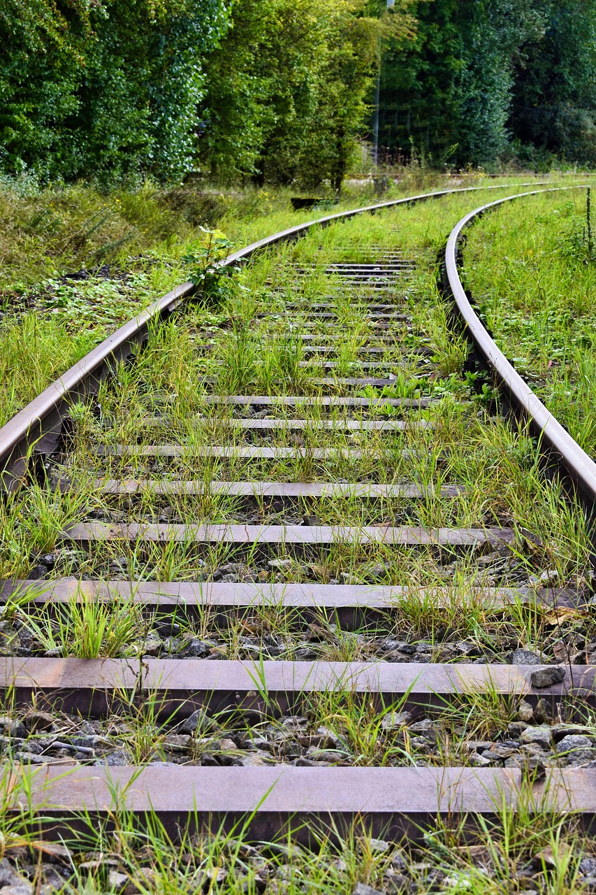 railway tracks  gleise  green free photo