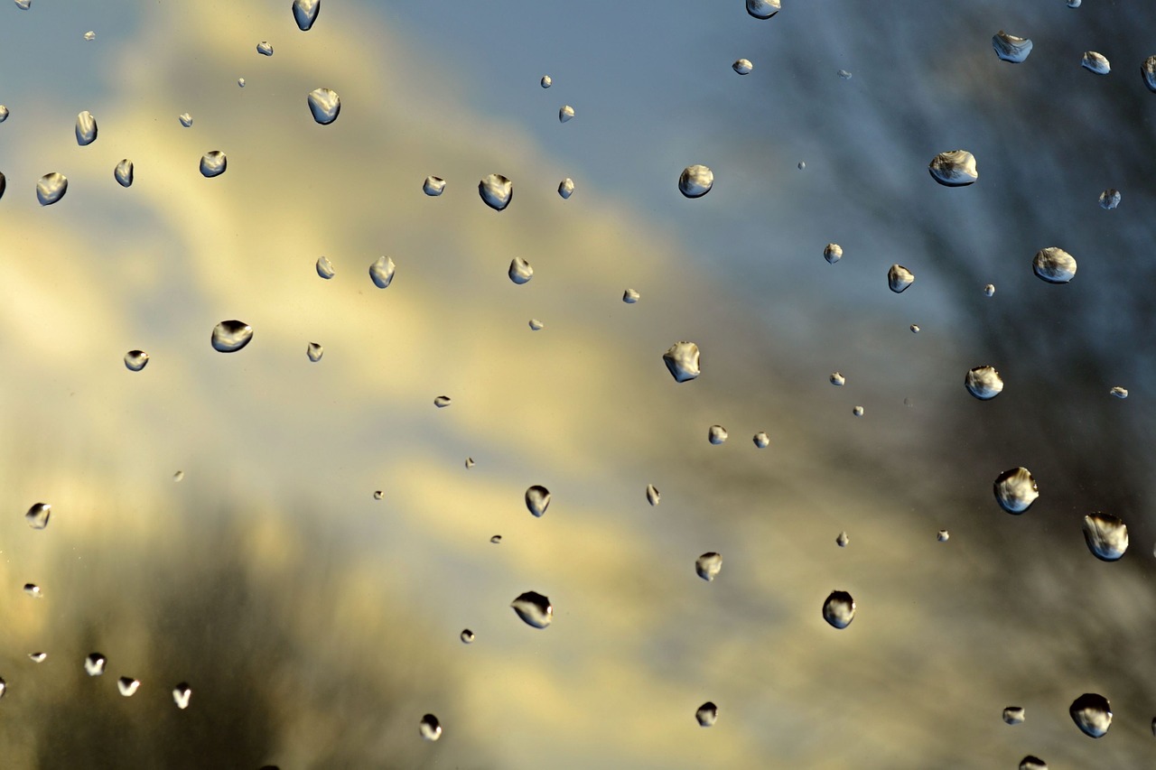 rain raindrops water drops free photo