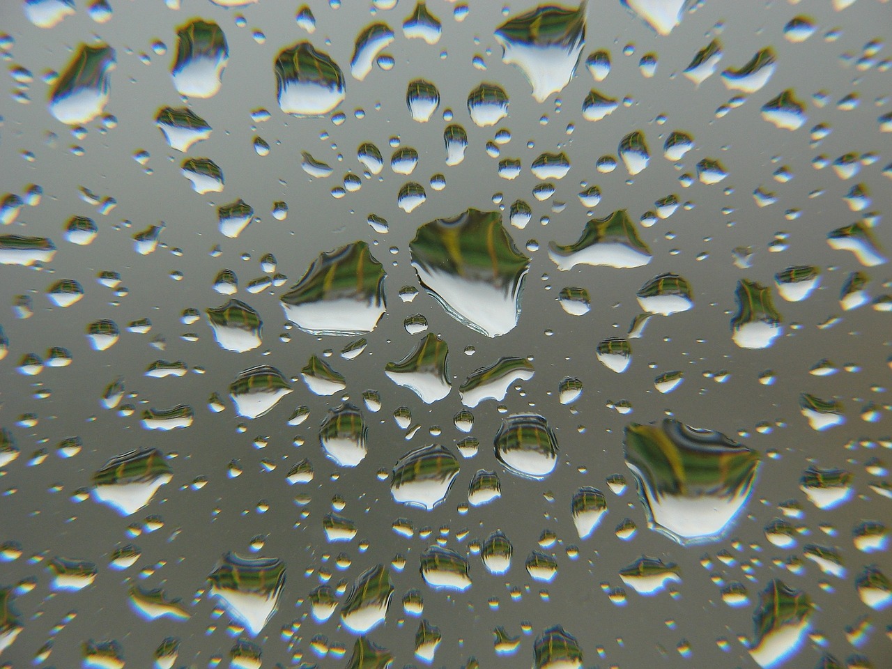 rain drops glass free photo
