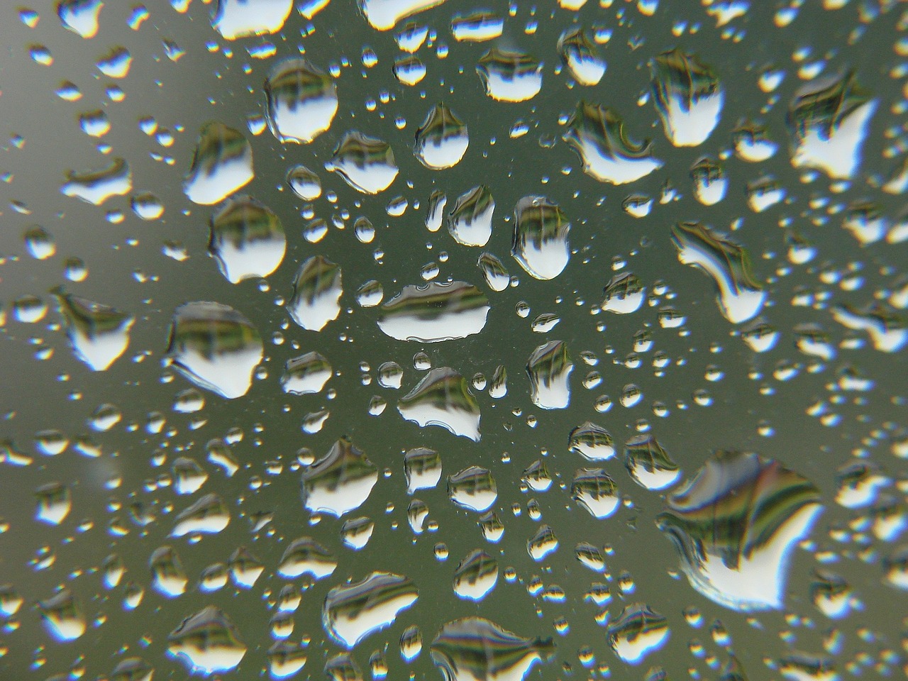 rain drops glass free photo