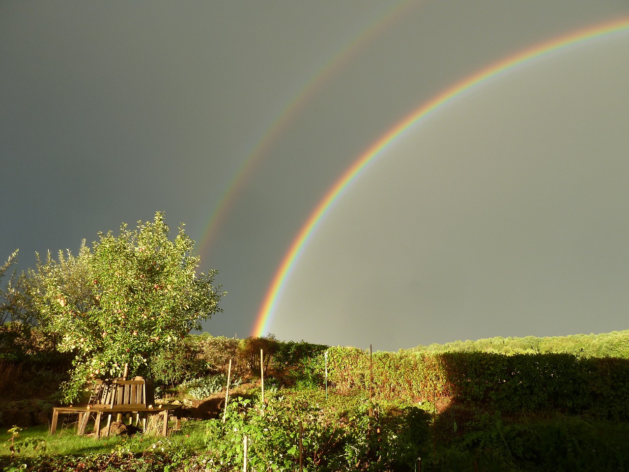 rain rainbow double free photo