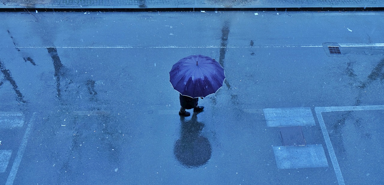 rain umbrella drops free photo