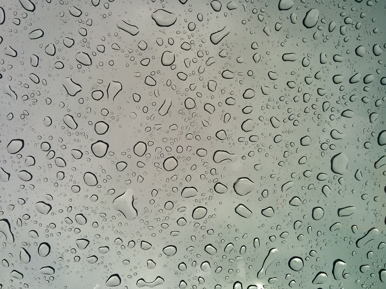 rain drops background free photo