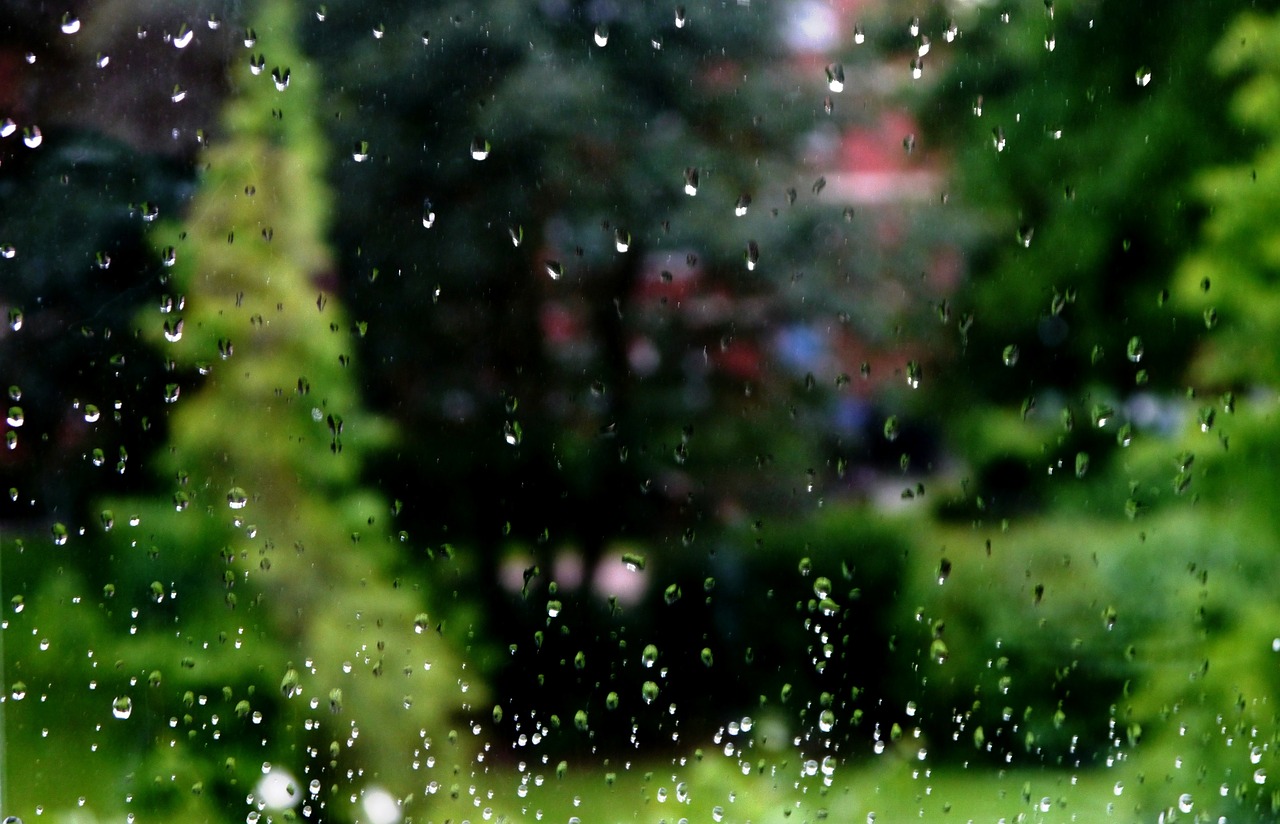 rain drip window free photo