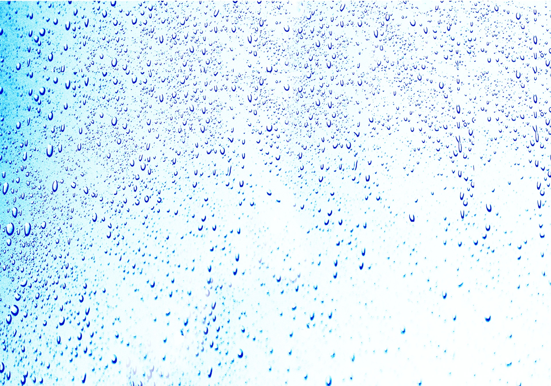 rain water drops free photo