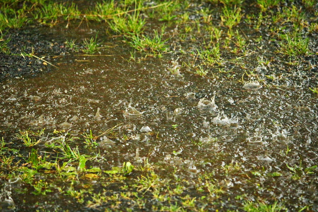 rain puddle drip free photo