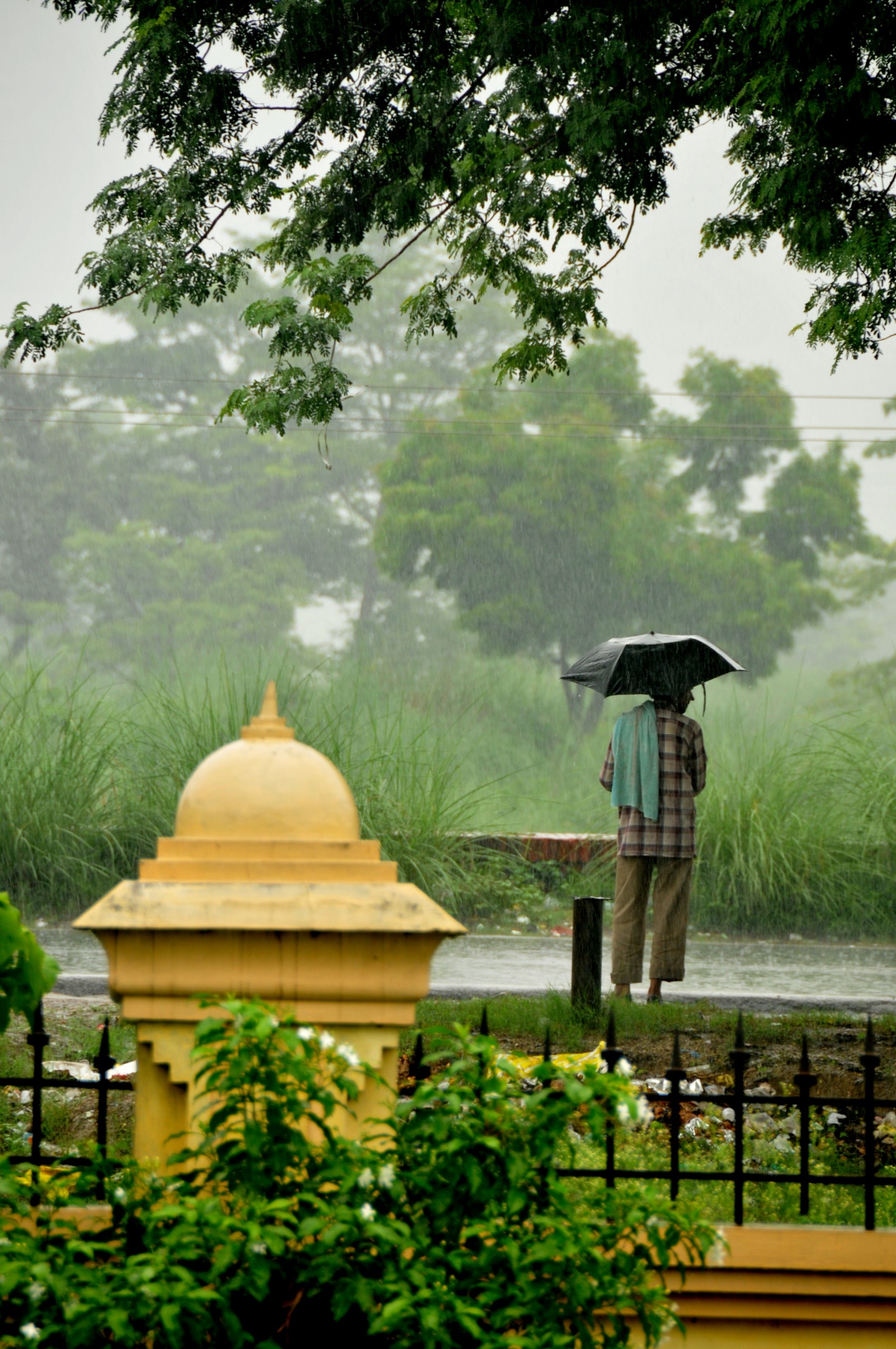 rain man umbrella free photo