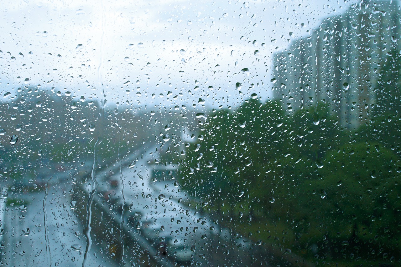 rain window drop free photo