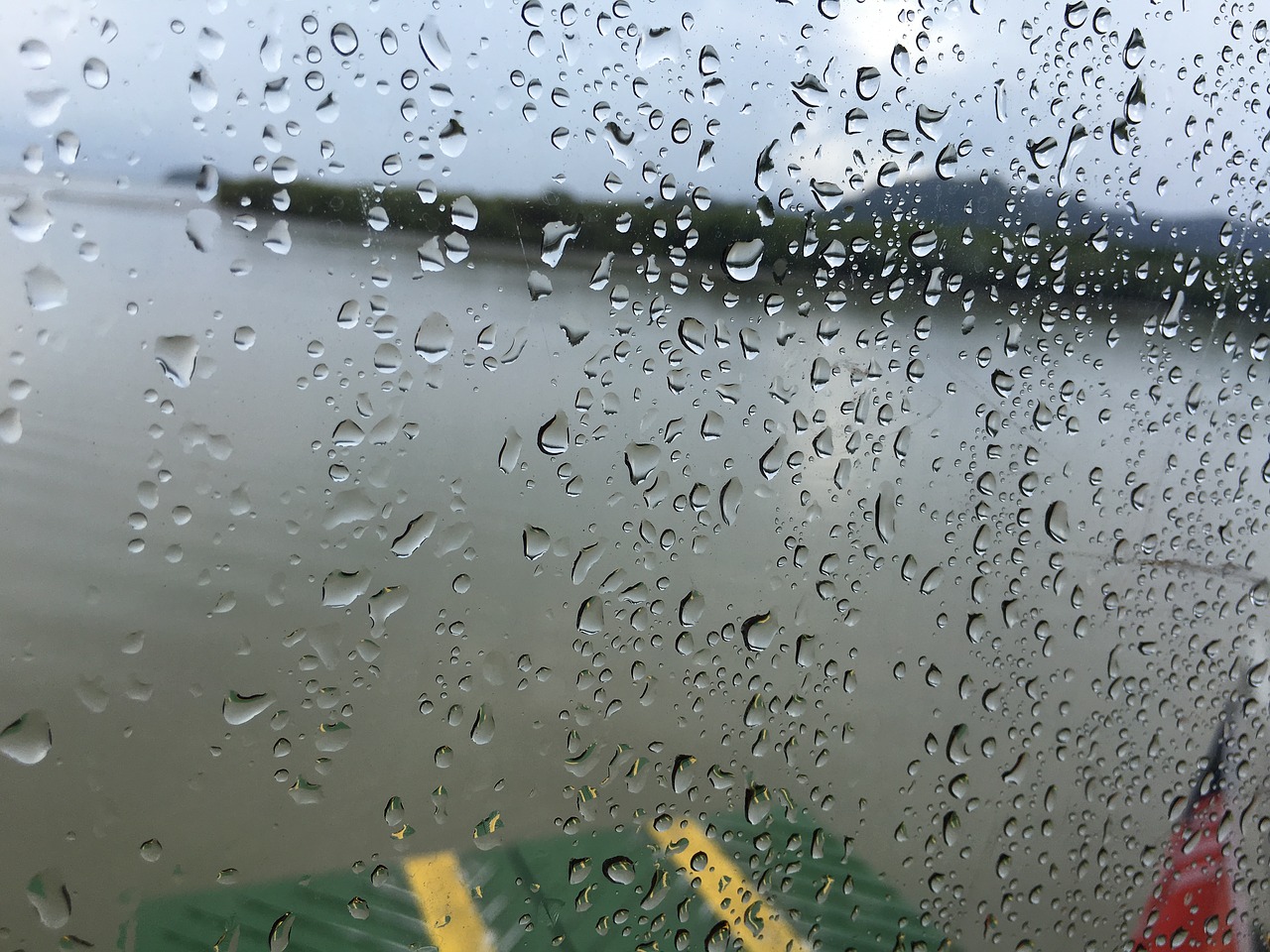 rain raindrops droplet free photo