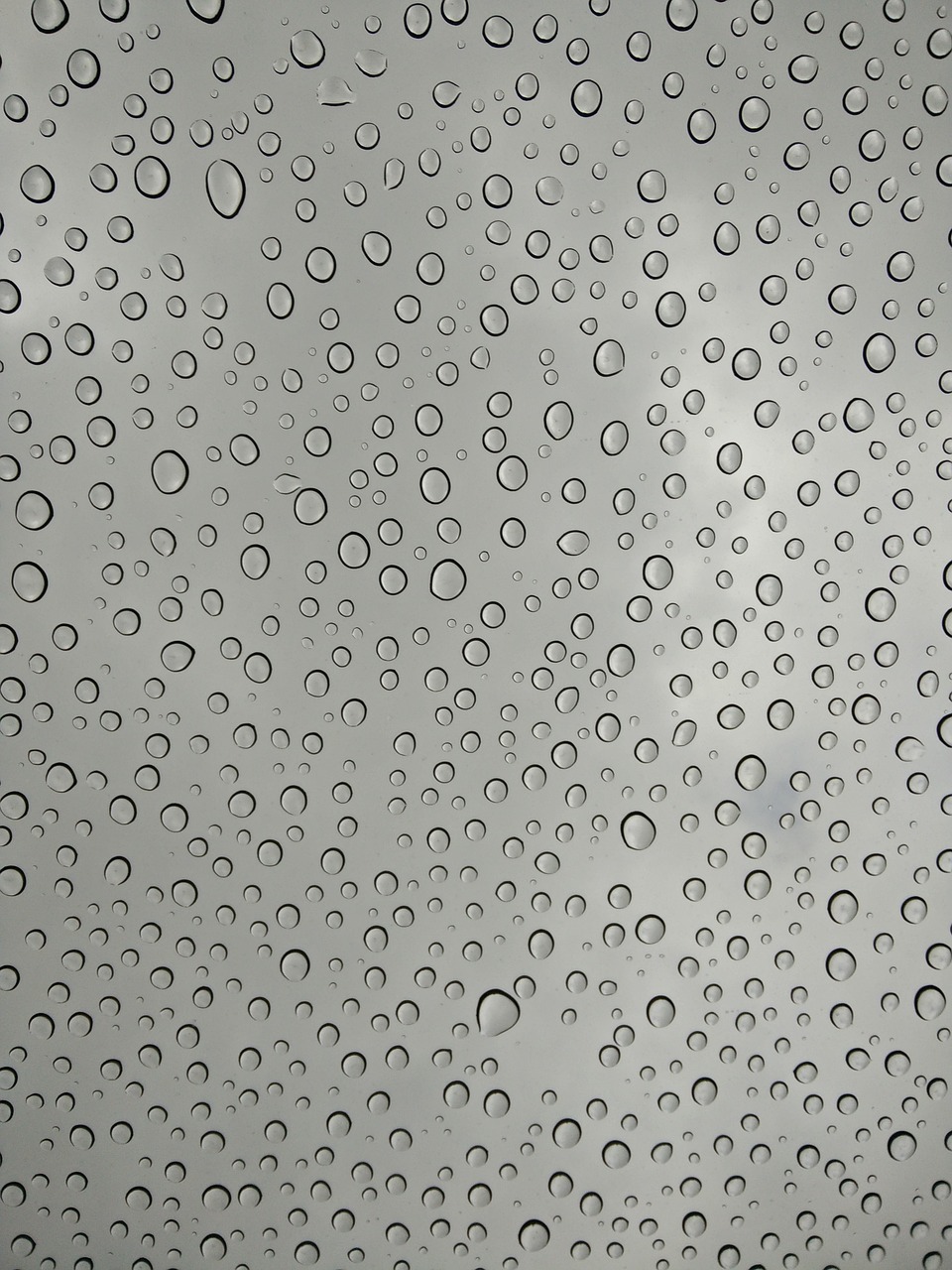 rain drip disc free photo