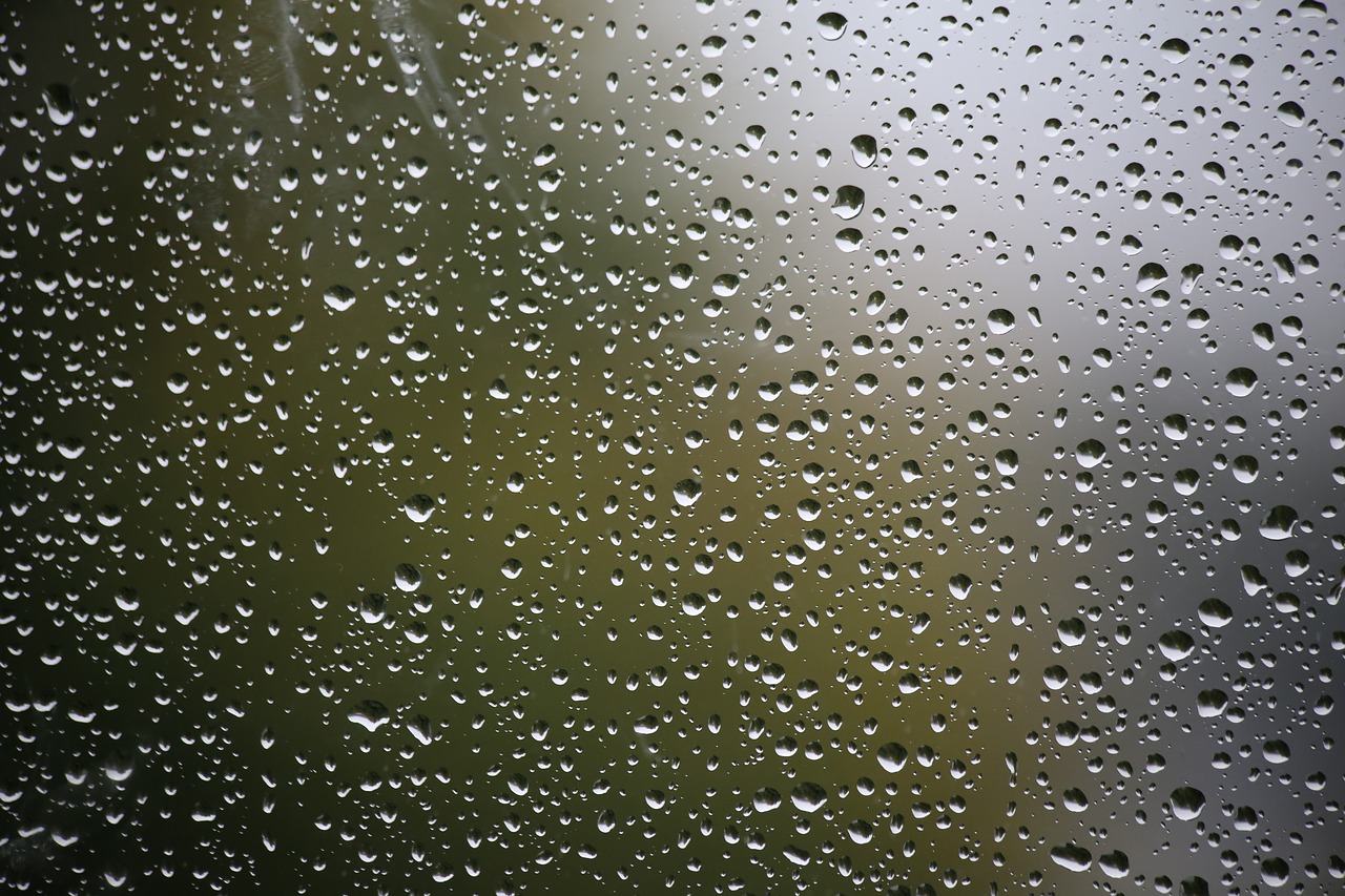 rain autumn window pane free photo