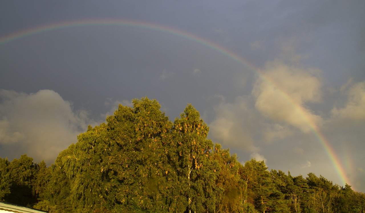 rain rainbow colors free photo