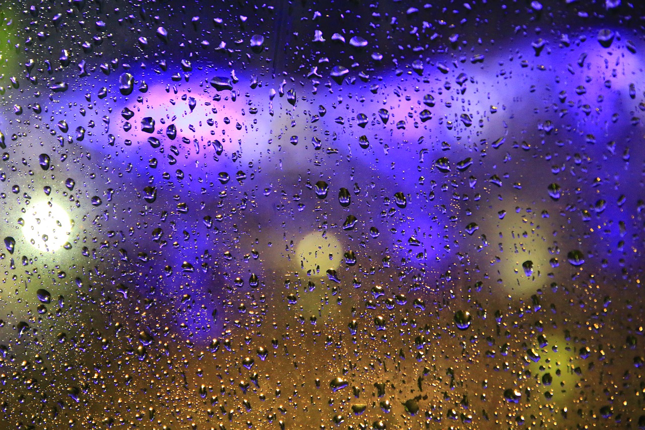 rain it's raining water droplets free photo