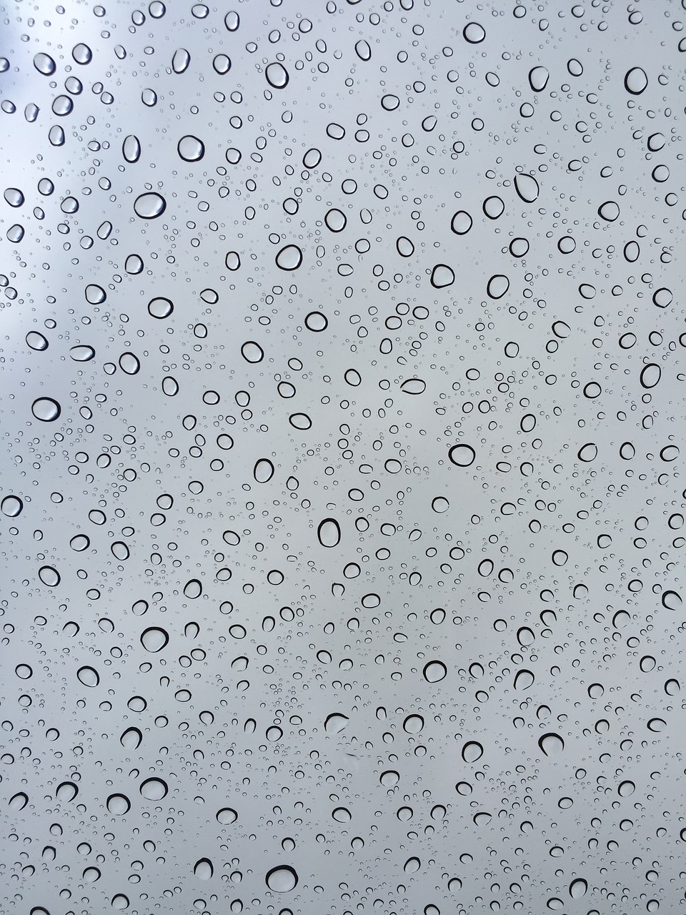 rain rain drips window free photo