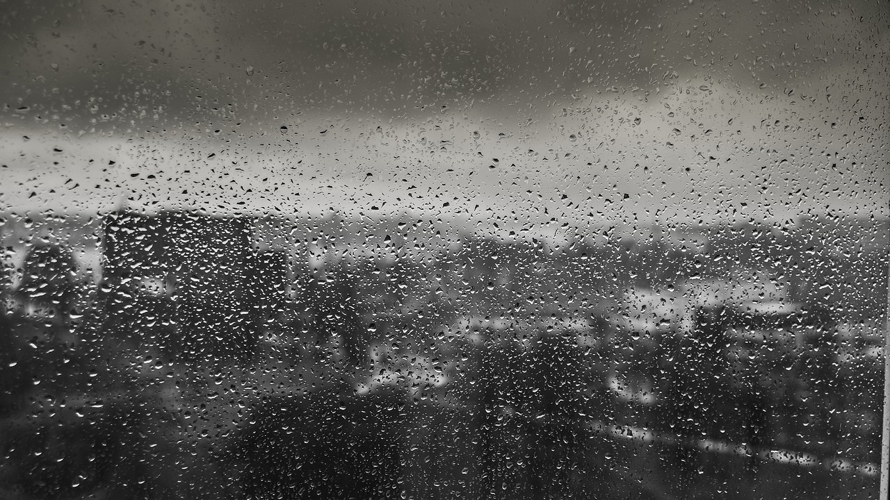 rain drops raindrops free photo