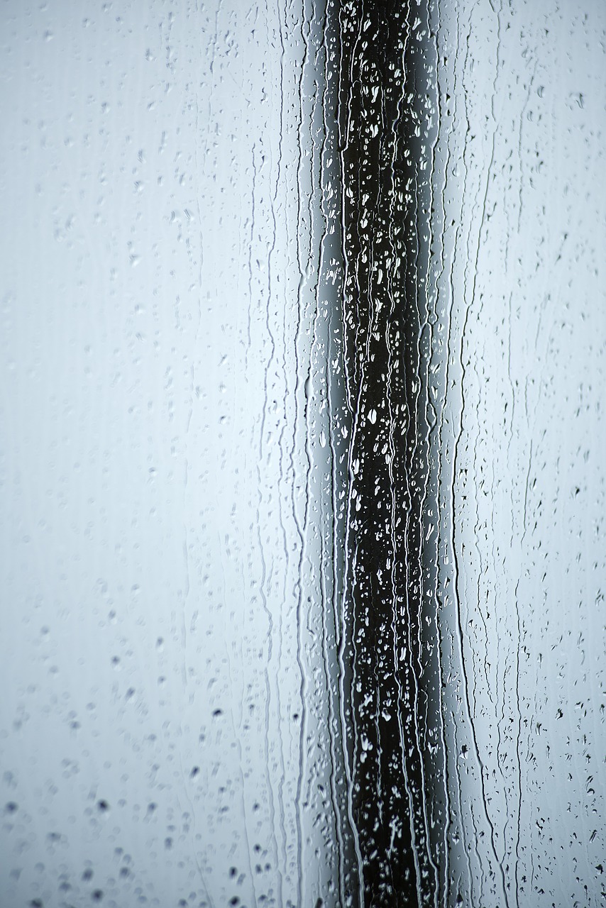 rain raindrop drop of water free photo