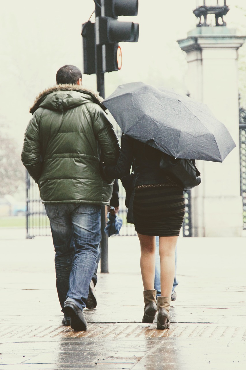 rain umbrella pair free photo