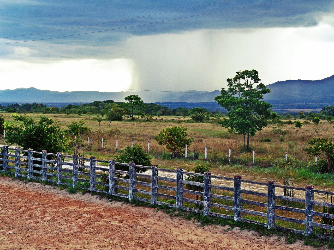 rain landscape tree free photo