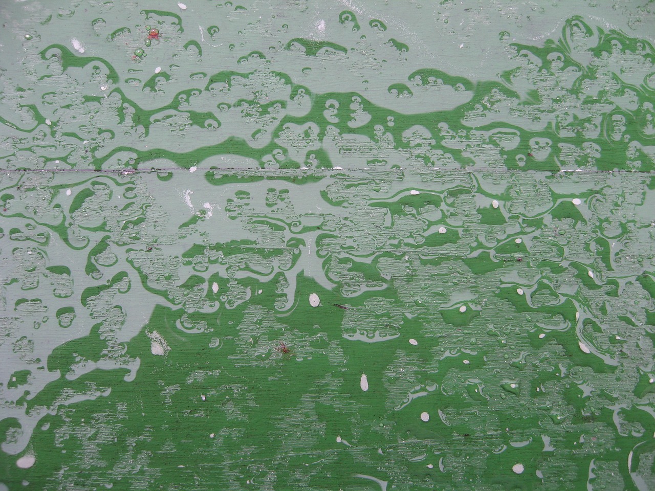 rain wet drip free photo