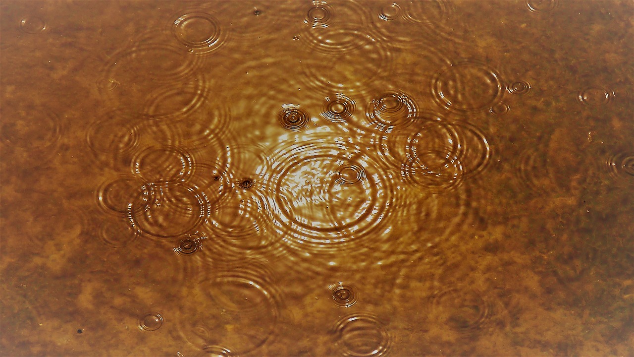 rain water mood free photo