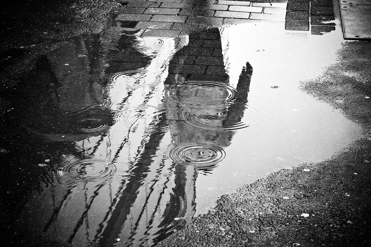 rain puddle water free photo