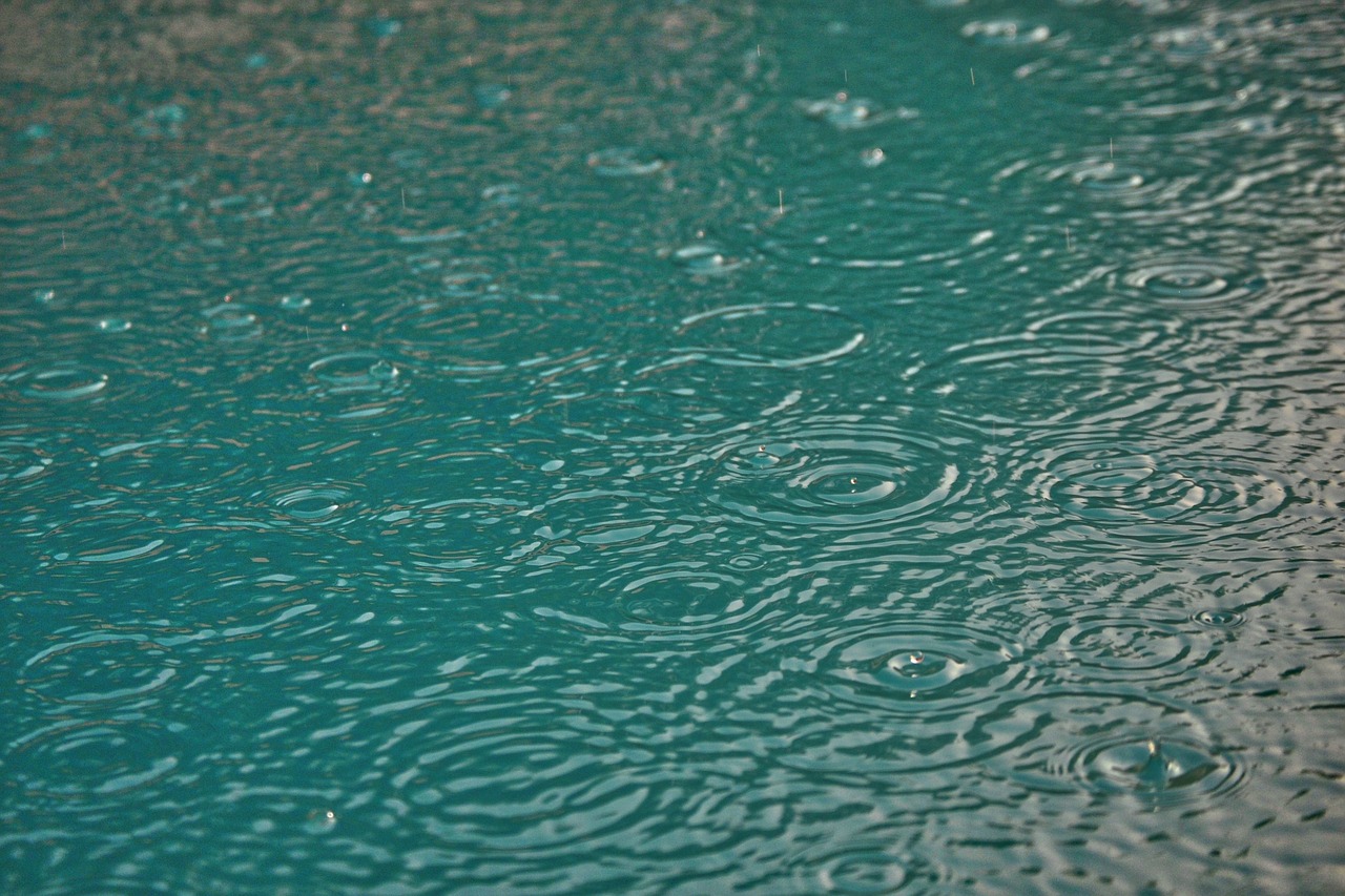 rain water drops free photo