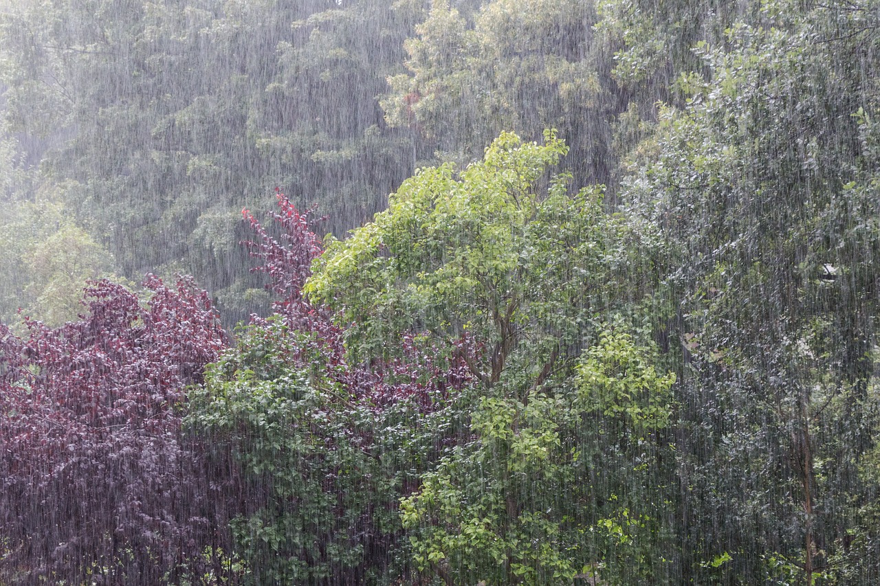 rain weather beaded free photo