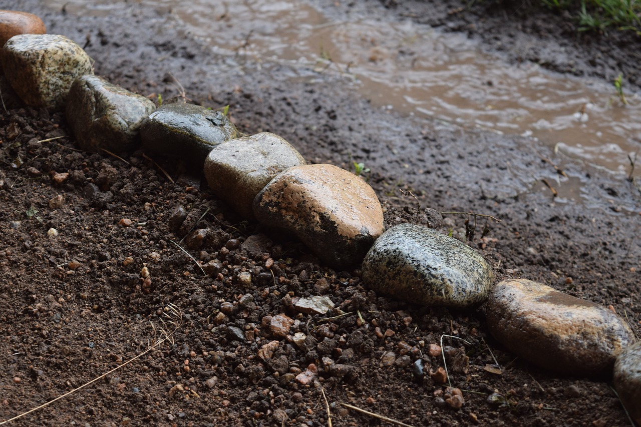 rain rocks wet free photo