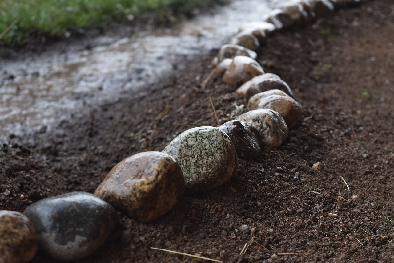 rain rocks wet free photo