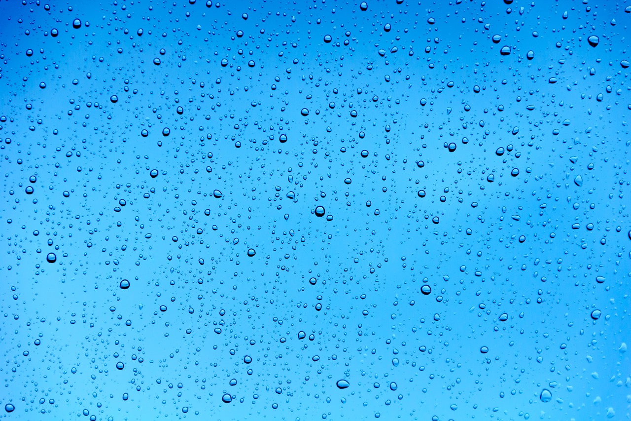 rain drops water free photo