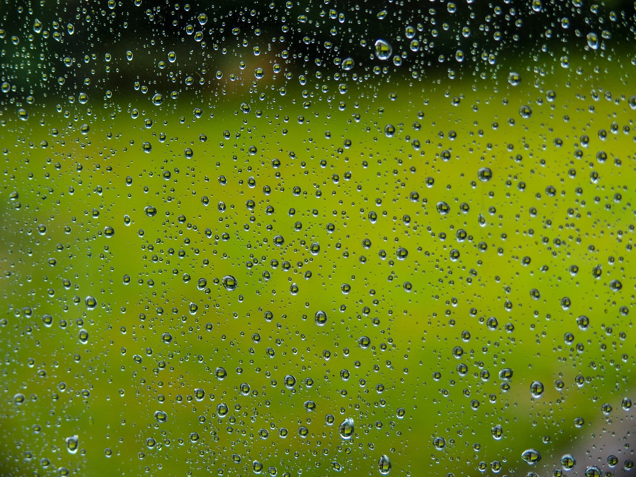 rain window raindrop free photo