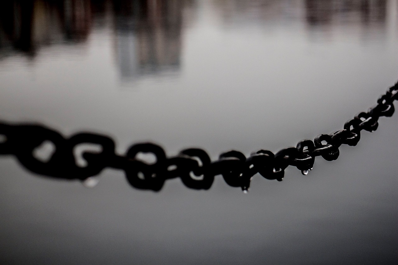 rain chain black and white free photo