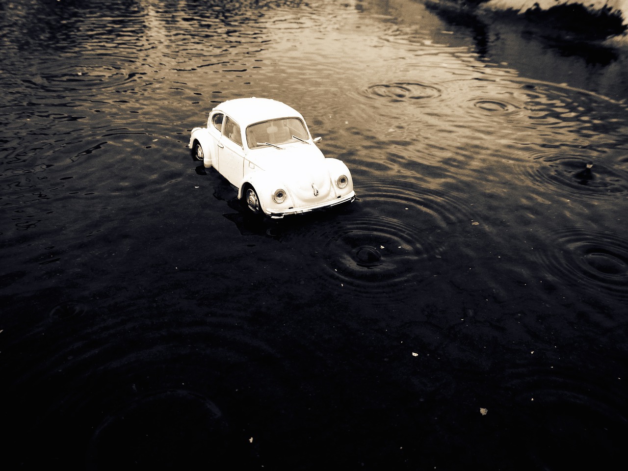 rain volks wagen white free photo