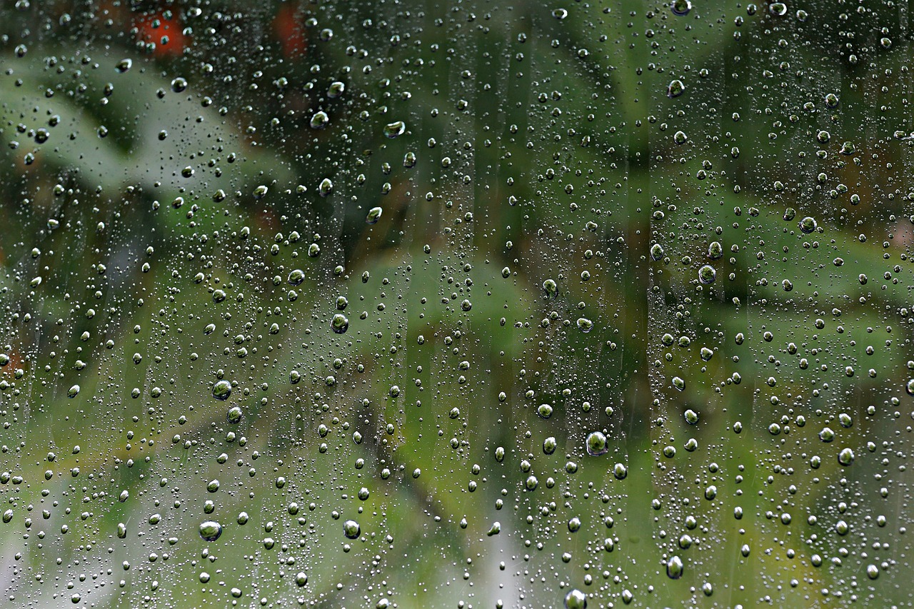 rain raindrops windowpane free photo